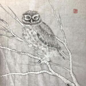 Le Petit Hibou (The Little Owl)